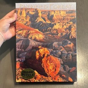 500 piece Petrified Forest jigsaw puzzle.